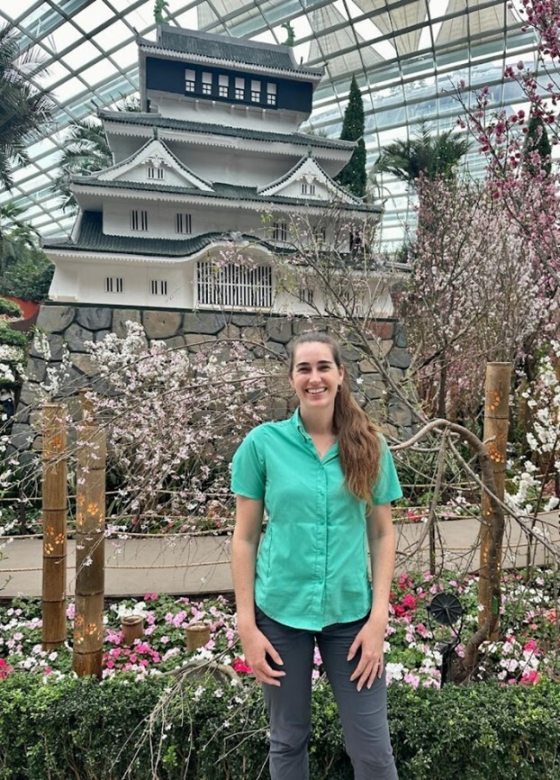 A person in a bright teal shirt and gray pants standing in front of a sakura display. 